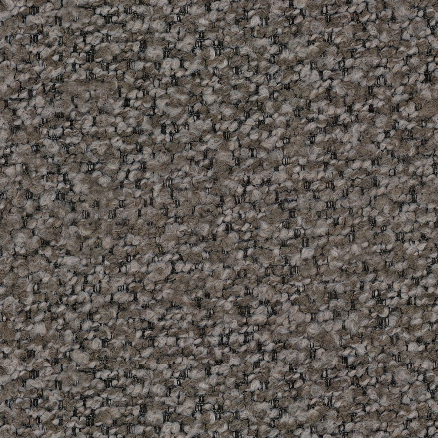 Pittura