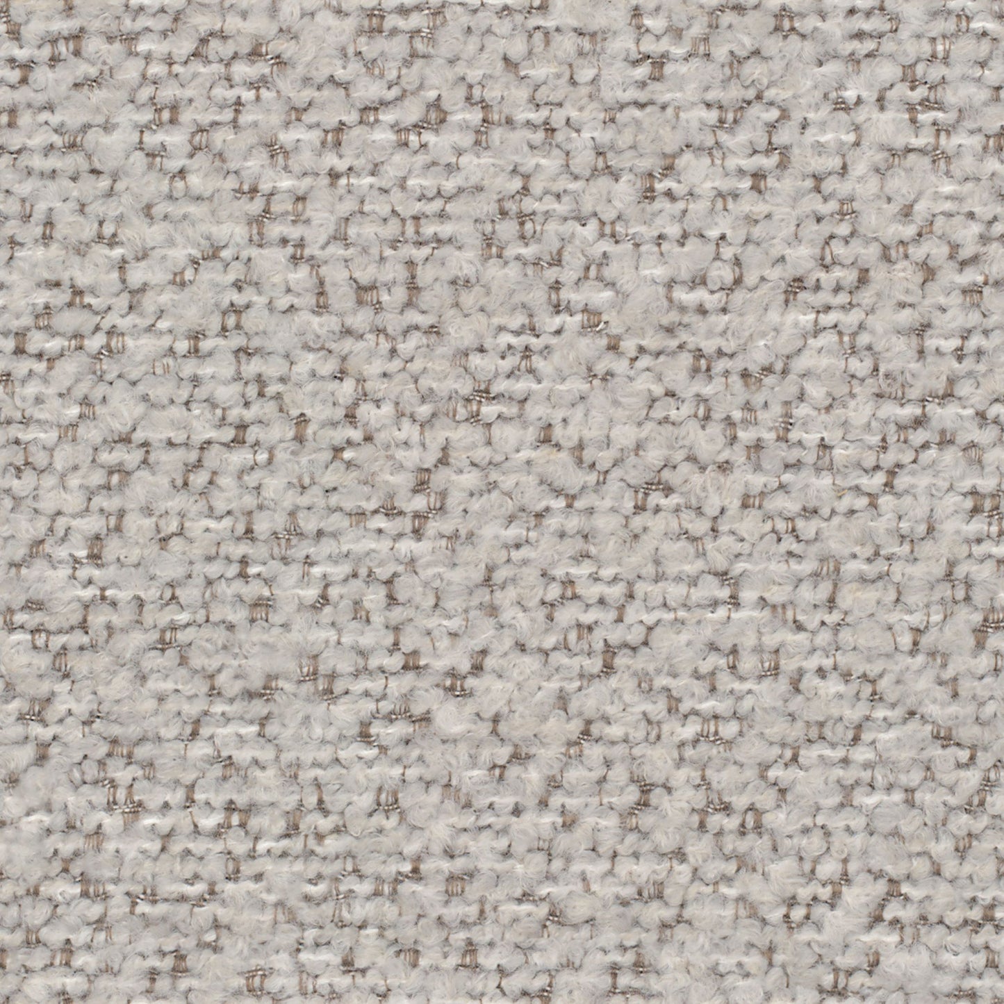 Pittura