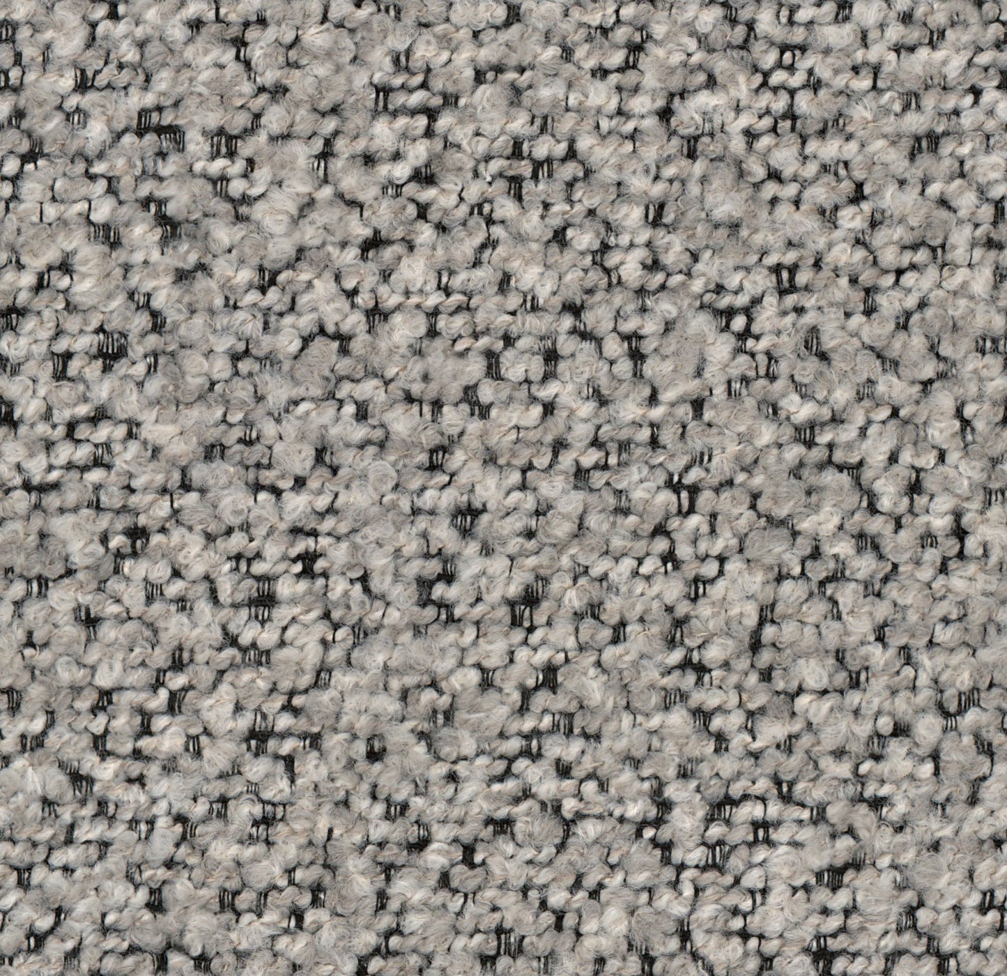 Pittura
