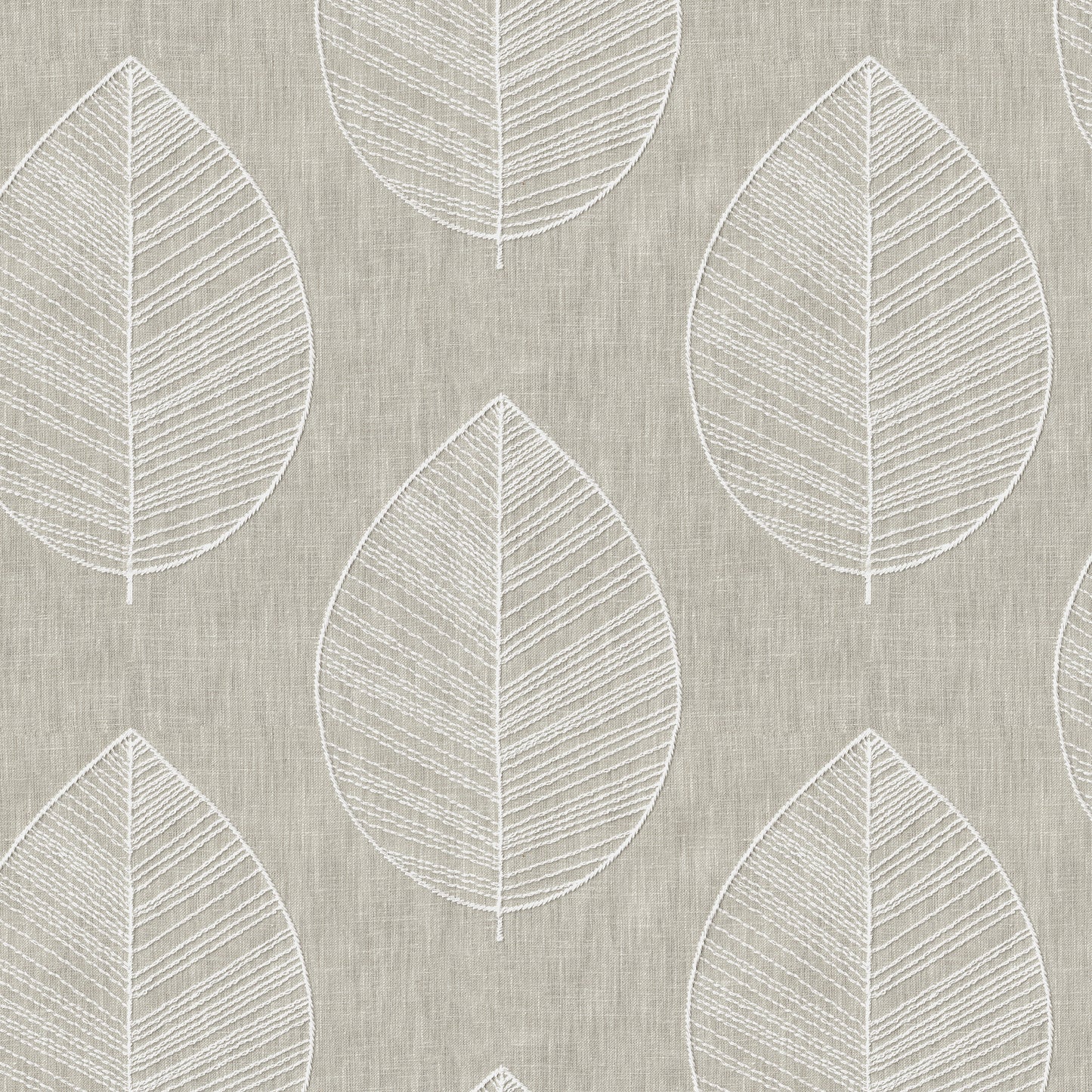 Alder