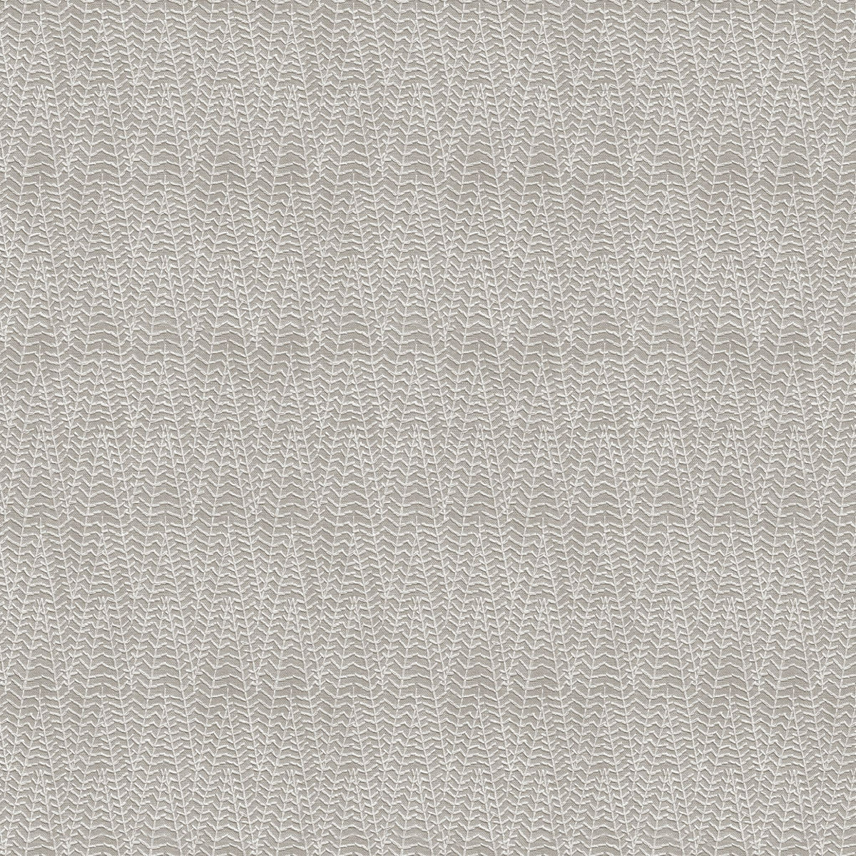 Feather