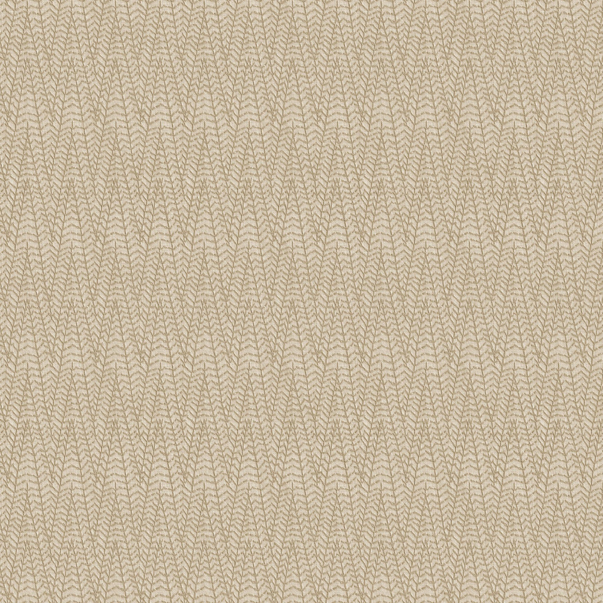 Feather