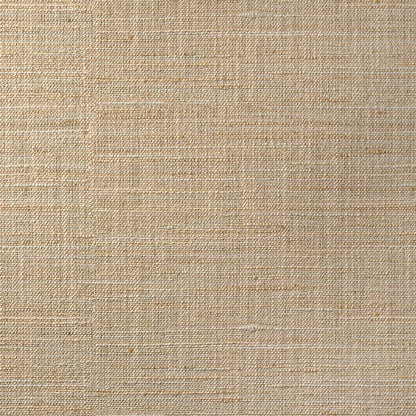 Meraki